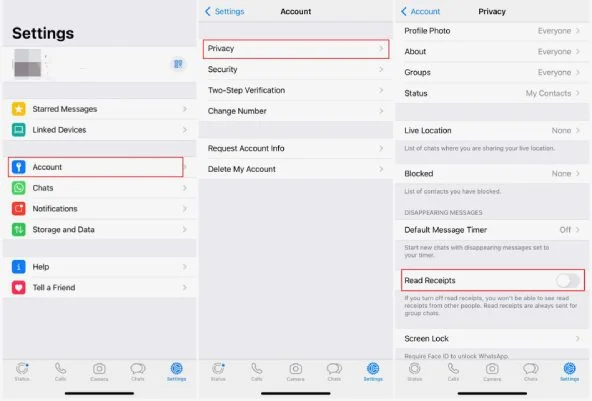 How to Read WhatsApp Messages without Blue Tick
