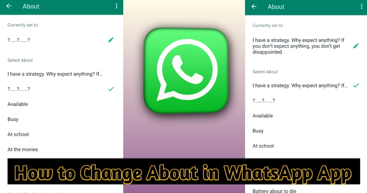 About in WhatsApp App